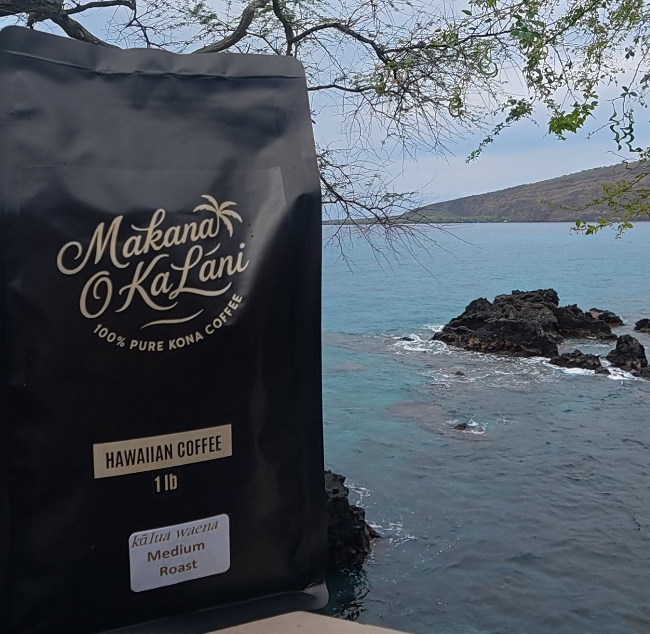 Medium Roast Kona Coffee 1 Pound